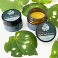 Kawakawa balm